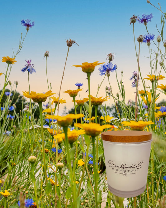 Australian Spring Wildflowers KandleS