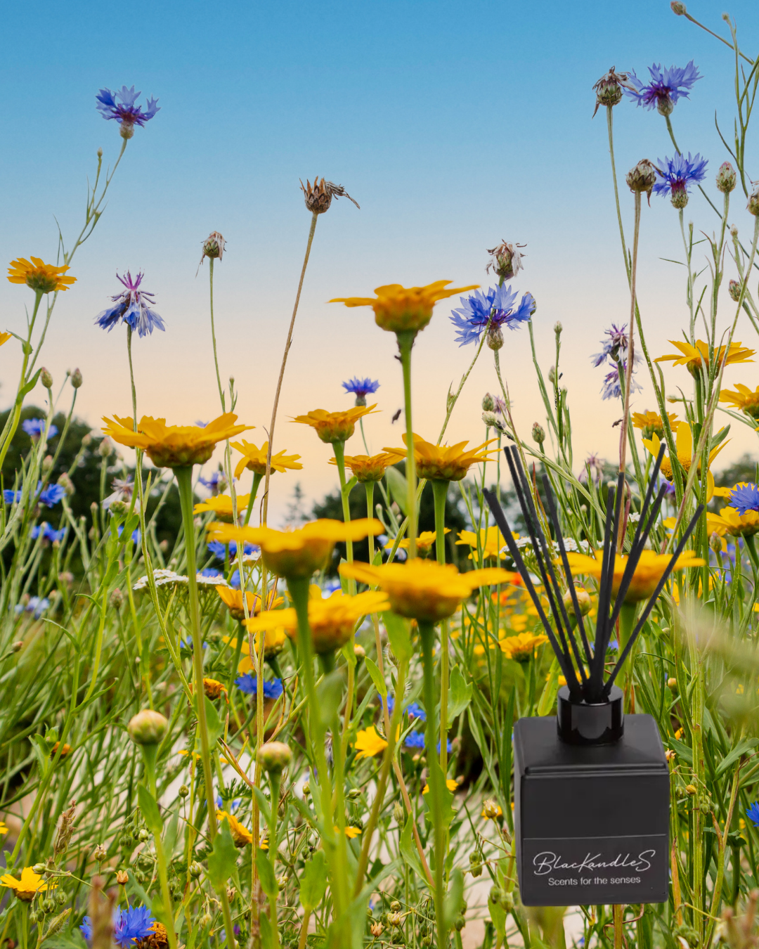 Australian Spring Wildflowers Diffusers – BlacKandleS