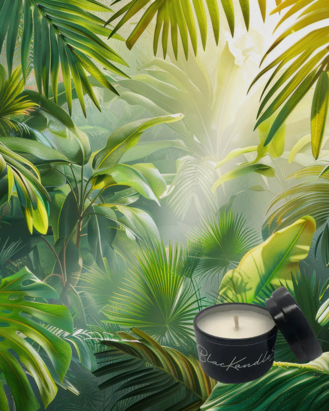 Bird of my dreams Limited Edition