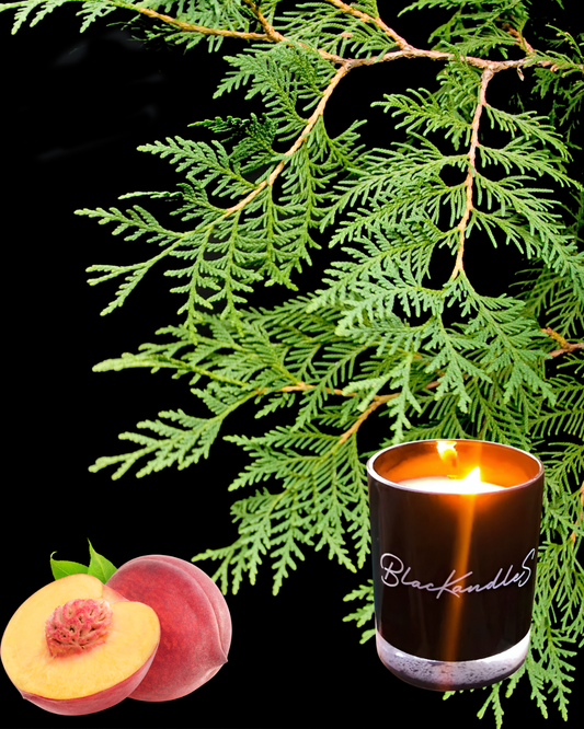 Cedar & Stone Fruit KandleS