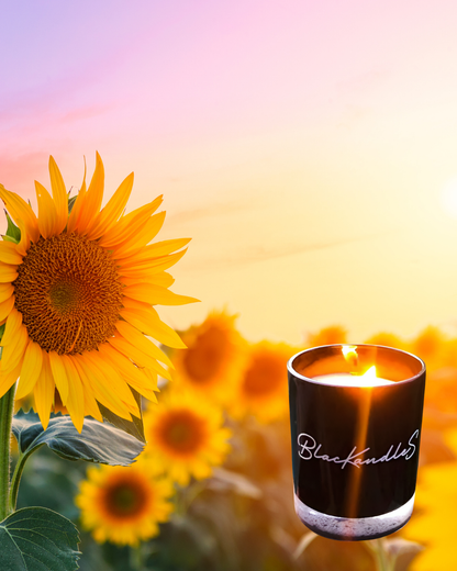 Cover me in Sunshine KandleS