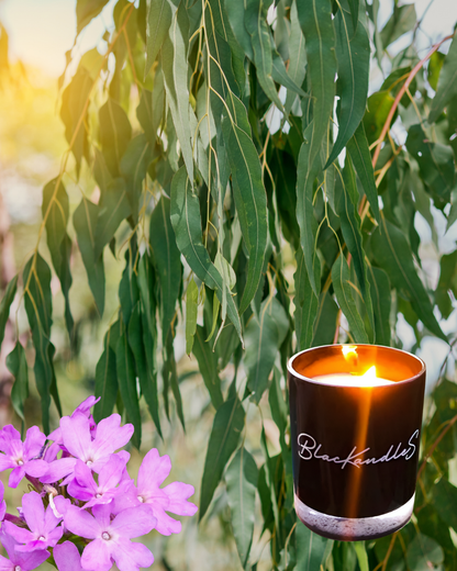 Eucalyptus & Verbena Kandles