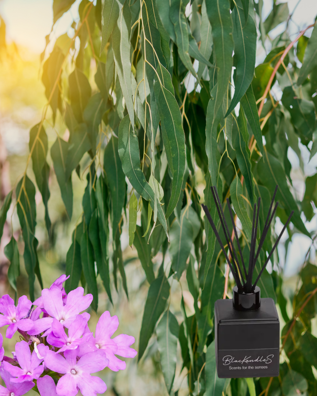 Eucalyptus & Verbena Diffusers – BlacKandleS