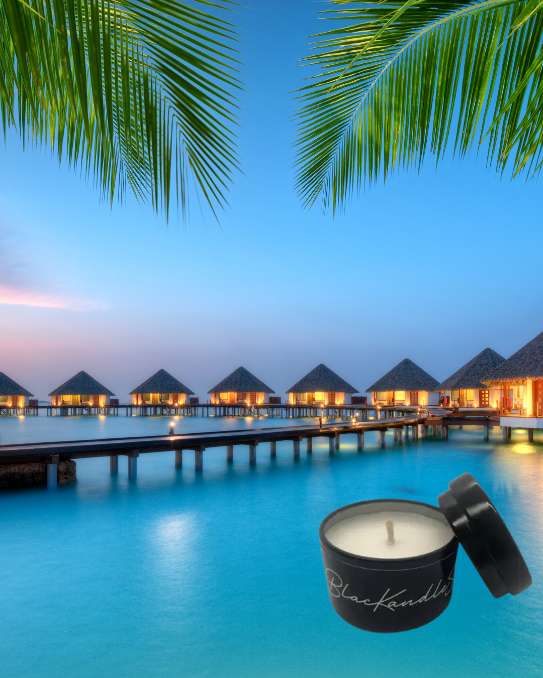 Island Dreaming Limited Edition