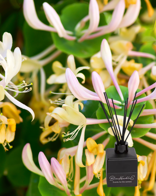 Japanese Honeysuckle Diffusers