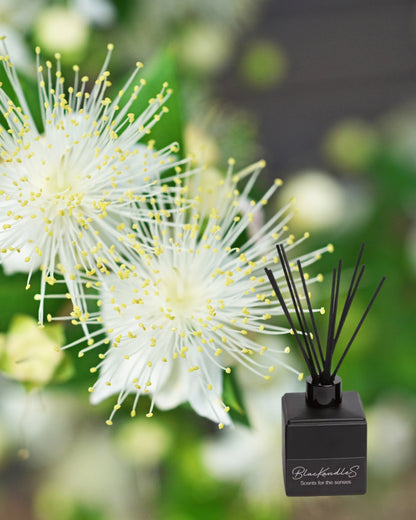 Native Lemon Myrtle Diffuser