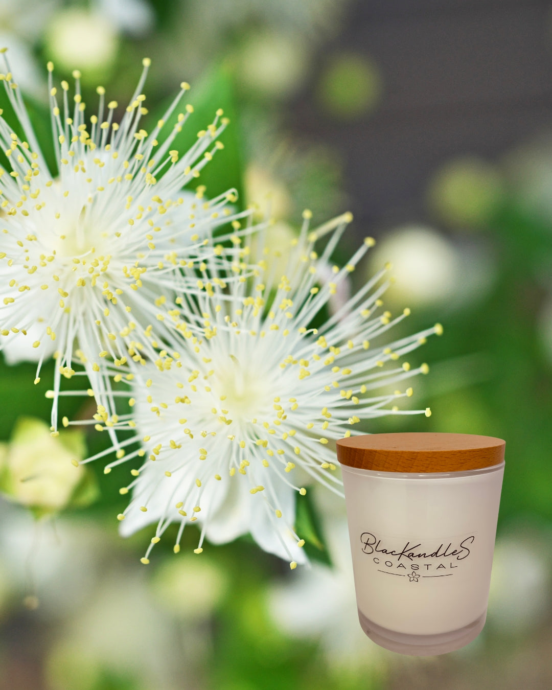 Native Lemon Myrtle KandleS