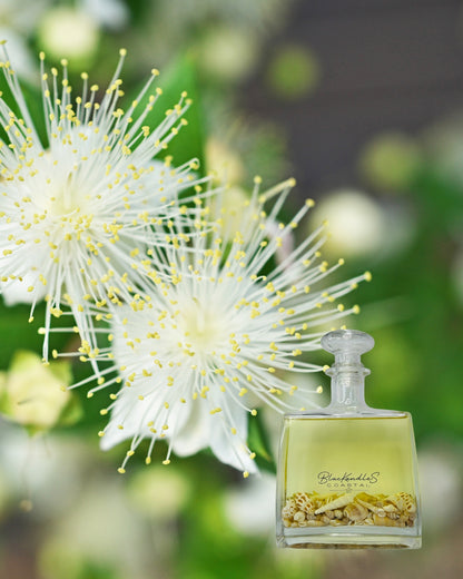 Native Lemon Myrtle Diffuser