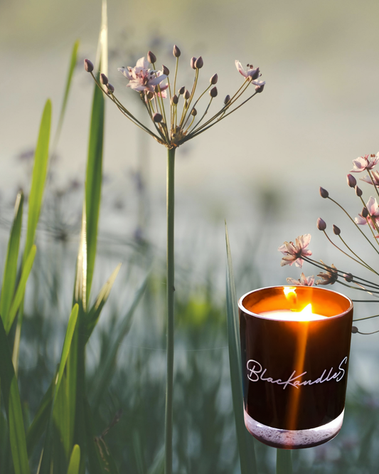 Once Upon a Time KandleS