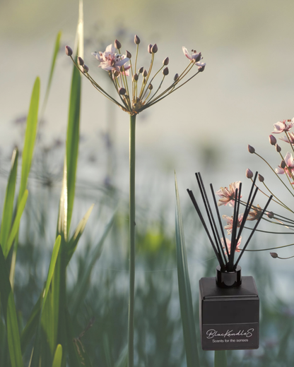 Once Upon a Time Diffusers