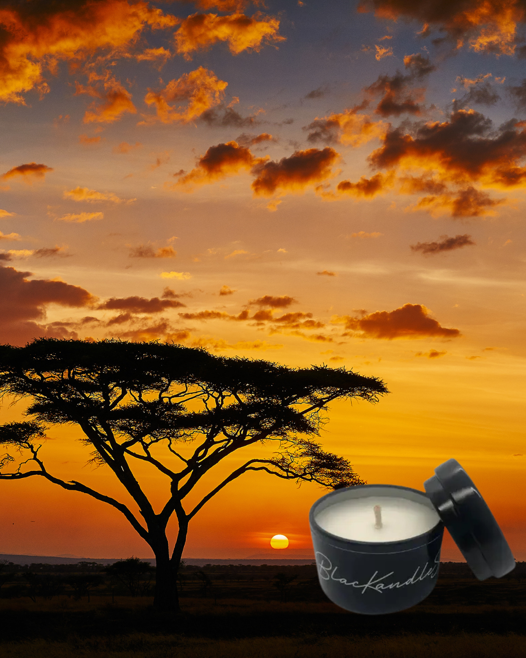 Safari at home Limited Edition