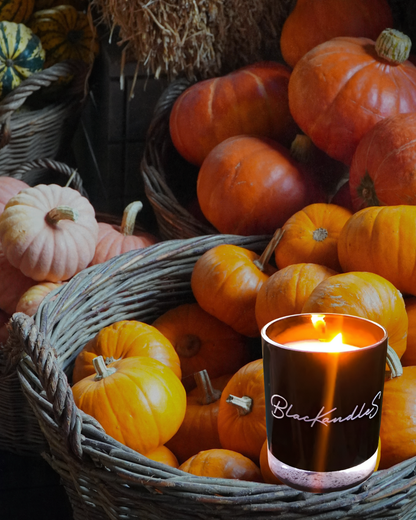 Spiced Pumpkin KandleS