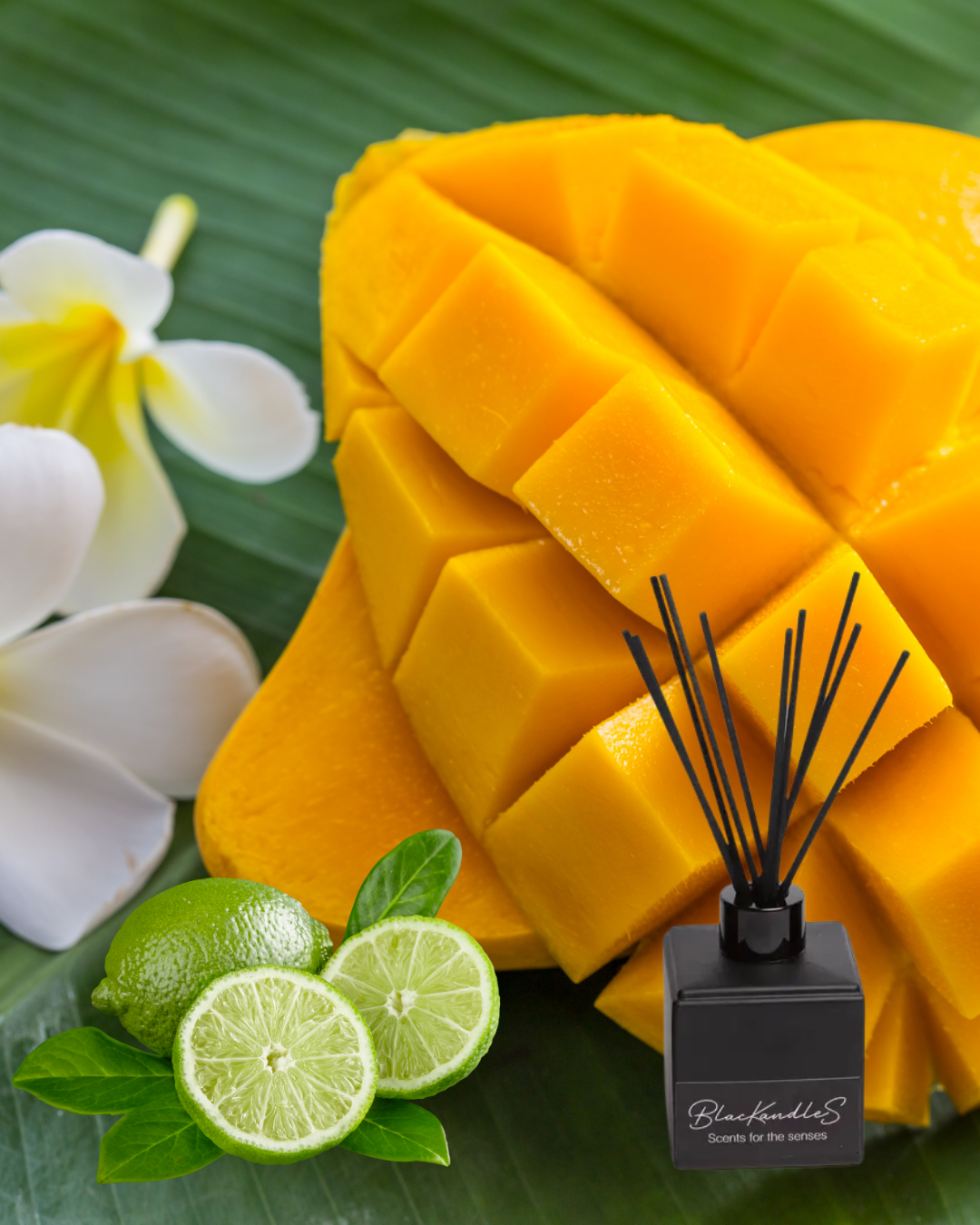 Thai Lime & Mango Diffusers – BlacKandleS