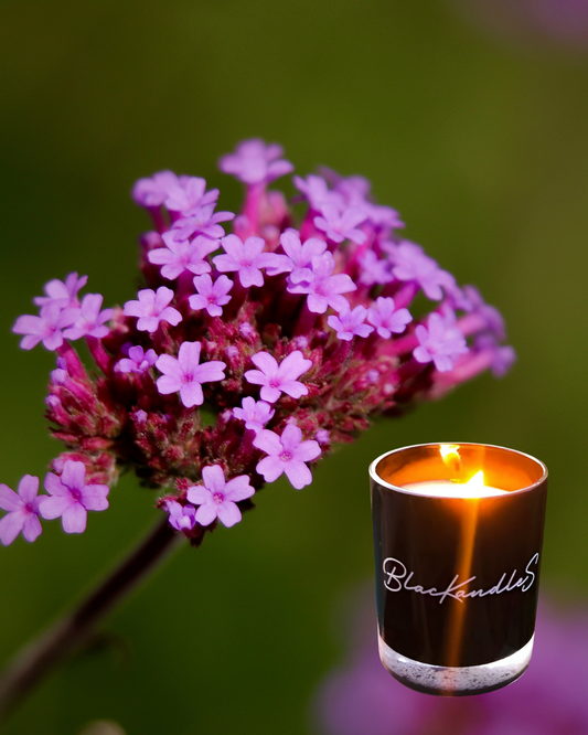 Verbena KandleS