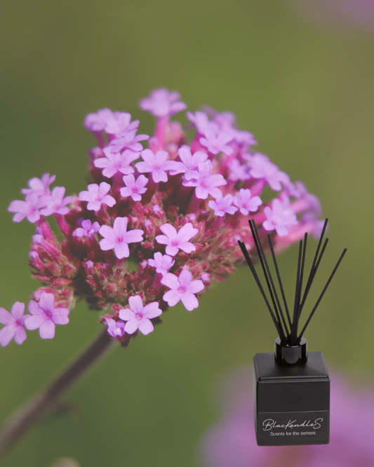 Verbena Diffusers