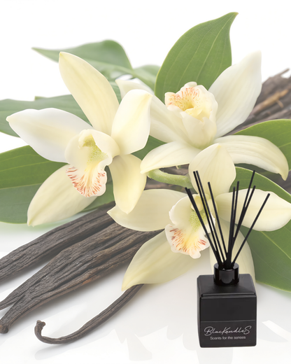White Iris &  Whipped Vanilla Diffusers