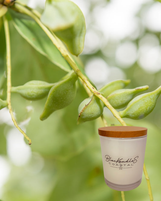 Wild Kakadu Plum KandleS