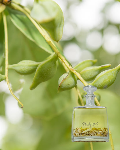 Wild Kakadu Plum Diffusers