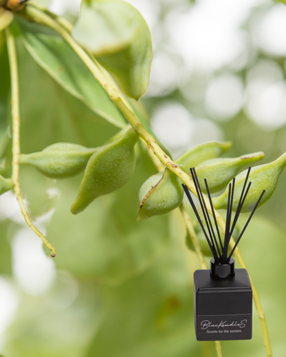 Wild Kakadu Plum Diffusers