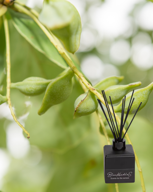 Wild Kakadu Plum Diffusers